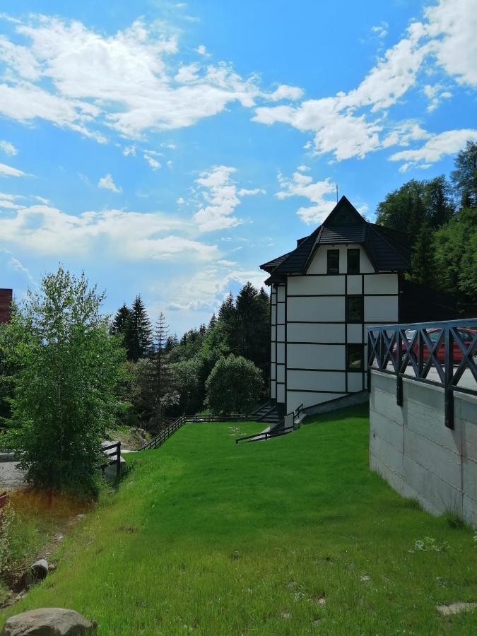 Vila Irina Kopaonik - Apartman Jovana Eksteriør bilde