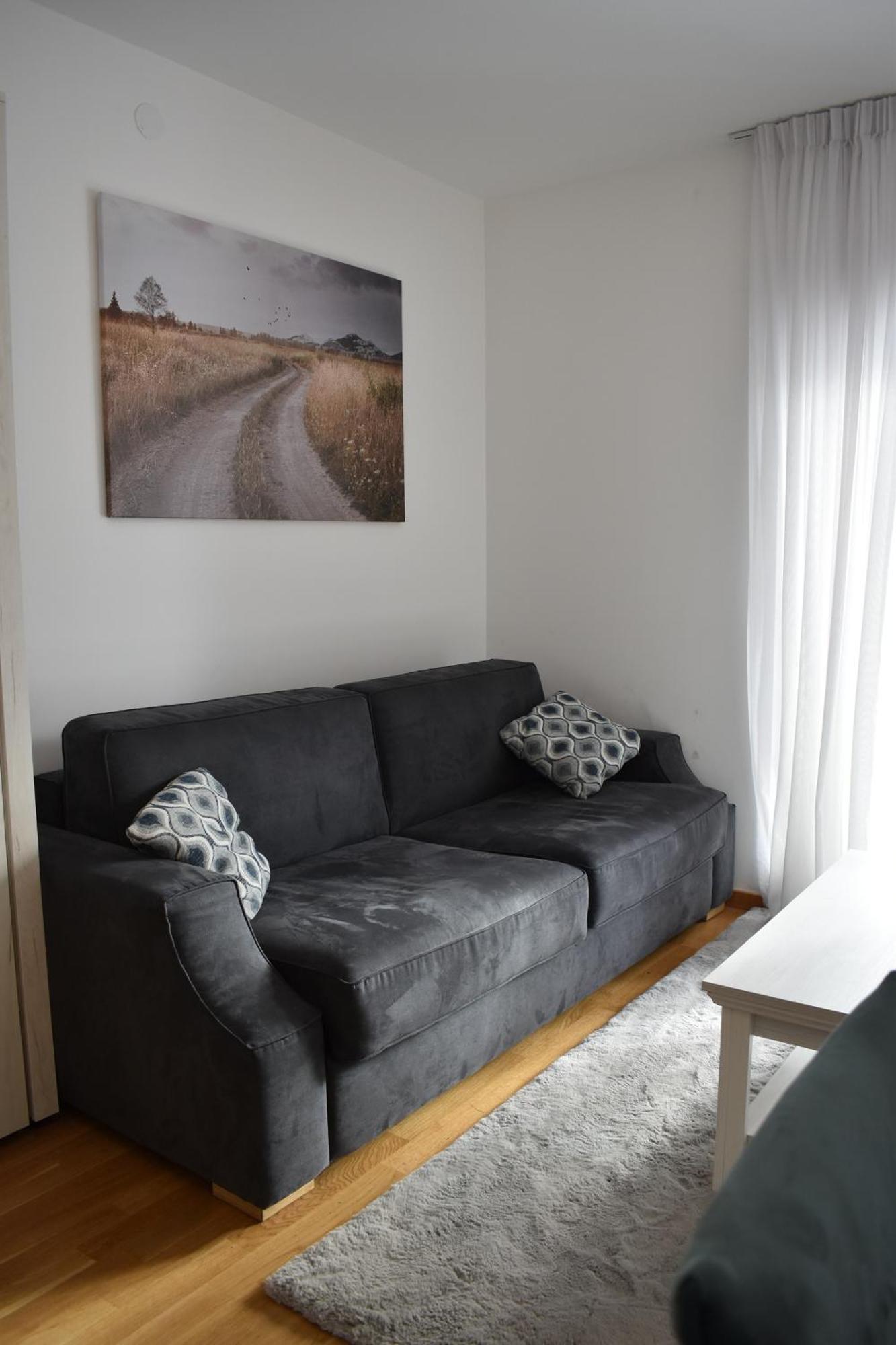 Vila Irina Kopaonik - Apartman Jovana Eksteriør bilde